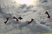 32 FESTIVAL CERVIA 2012 - 271